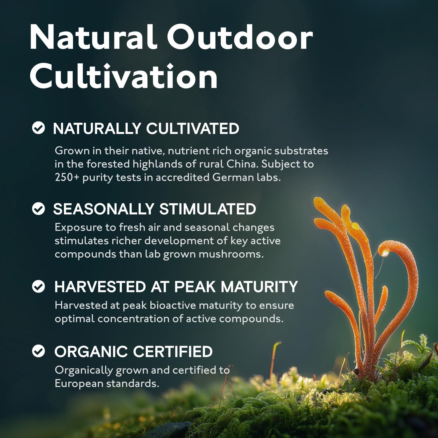 London Herbs 8 Mushroom Complex Organic Extracts 60ct