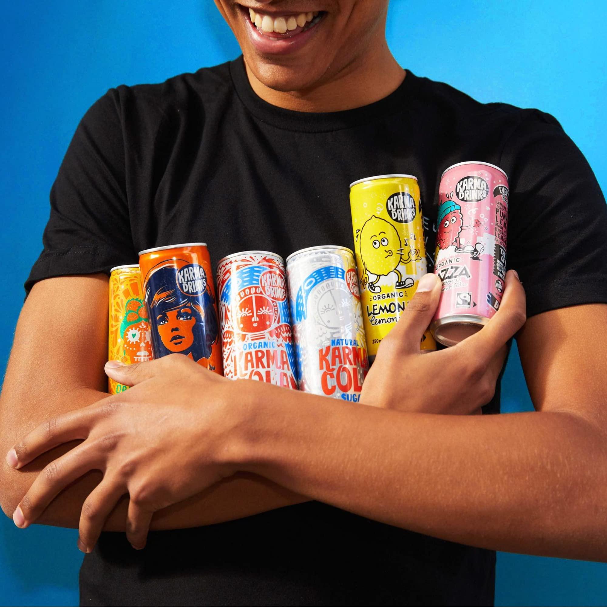 KARMA DRINKS Karma Drinks Can Variety Pack, Mixed Case of Delicious Soft Drinks, Carbonated Fizzy, Fairtrade, Organic, Vegan, No GMO (12 x 250ml)