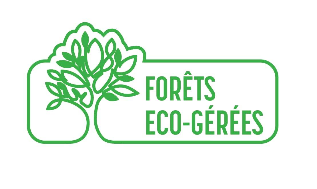 Spontex Spontex sponges, Vegetal, Yellow, Standard