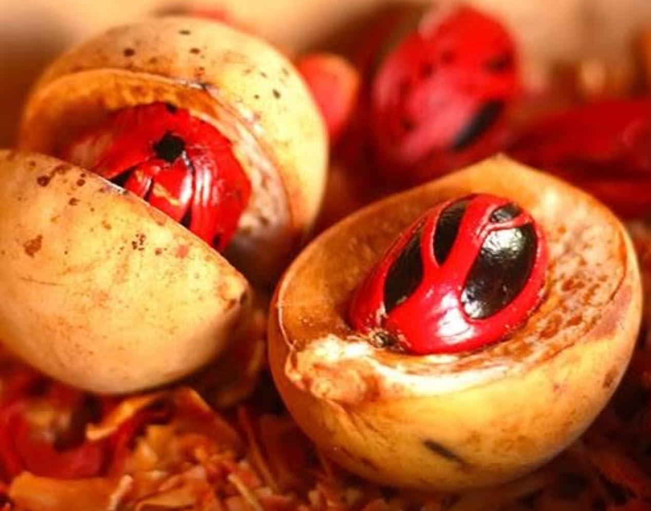 3 T's Nutmeg Oil Pain Reliever Spray