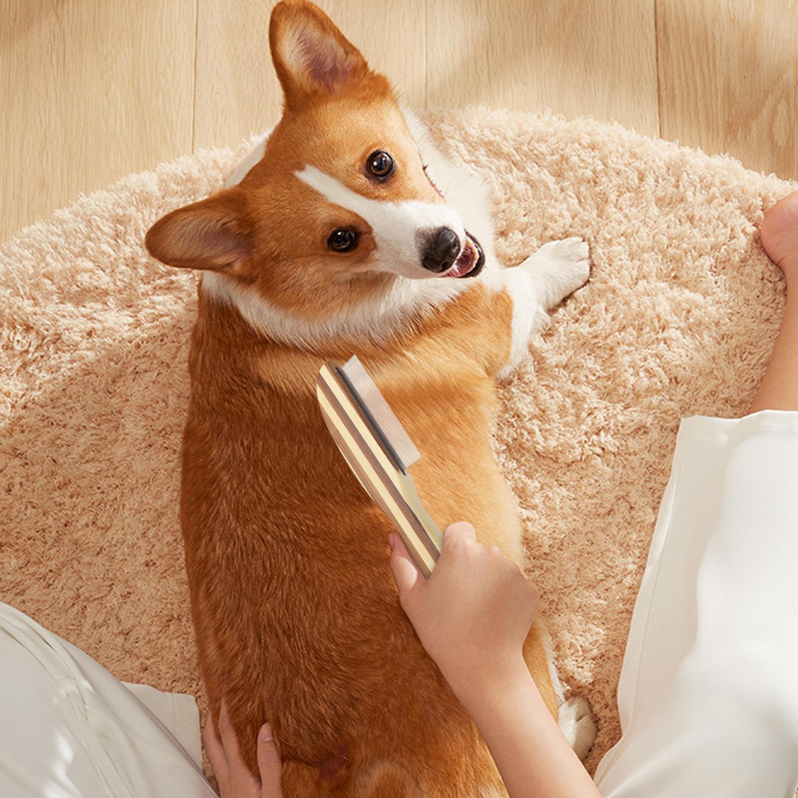 FreshCart Basics Fine Tooth Comb For Dandruff - Scalp Cleaning Comb | Metal Lice Comb | Dandruff Removal Tool With Wood Handle | Practical Lice Brush Comb | Dandruff Removal Comb For Children Adults Pets