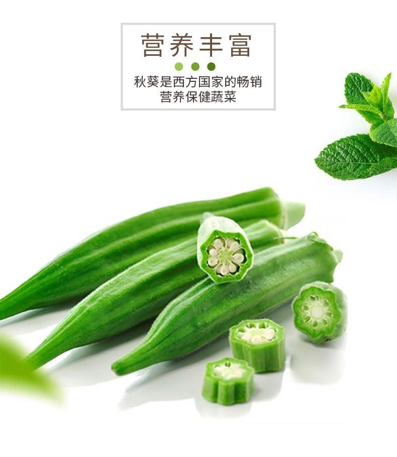 wasailuo Dried Okra Chips 1.76 oz/50g, Crispy Okra Chip Snack, Freeze-Dried Okra, Instant pickled okra, Ready-to-eat fruits and vegetables Snack, Healthy&Nutritious, Vegan, Fruit snack gift (Okra,Pack of 2)