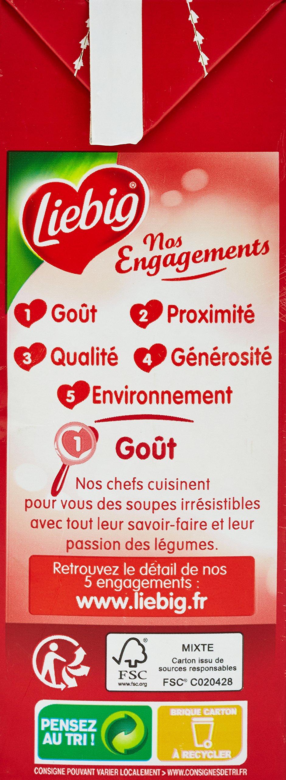 LIEBIG LIEBIG liebig Soup Chinese Brick 1 l