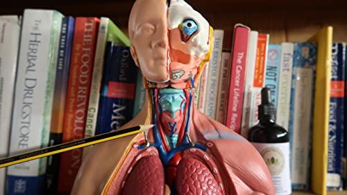 Qualified Naturopath - Professional Practitioner P Lugols Iodine Solution 15% - 35ml - with Glass Pipette