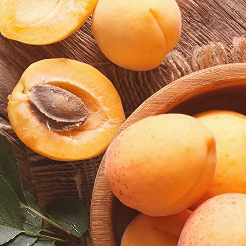 Ines Rosales Ines Rosales Sweet Olive Oil Tortas with Orange, Spanish Snacks, 14 x 120g