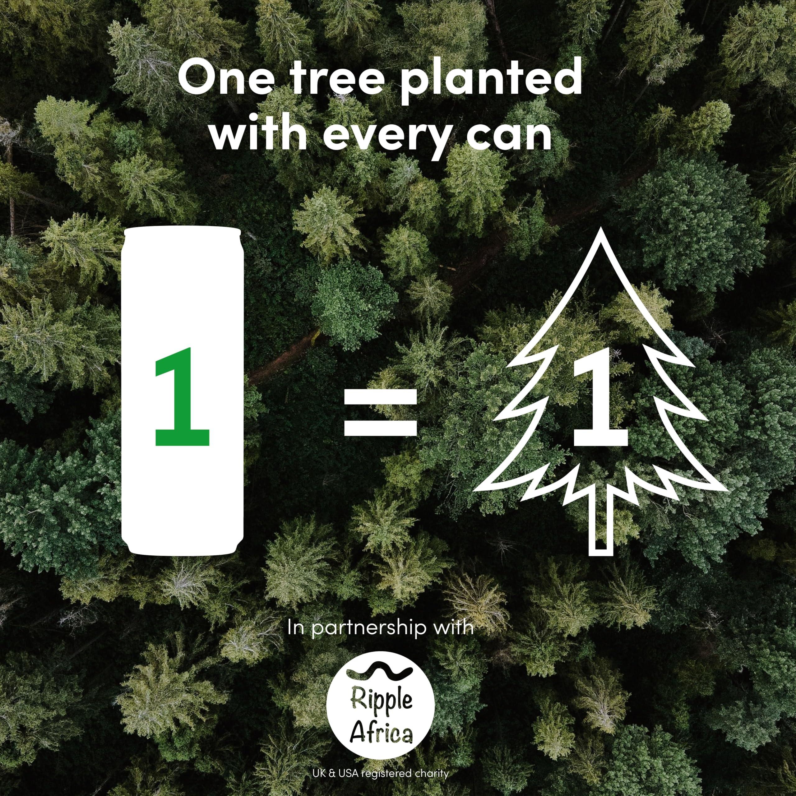 VITAL VITAL Gut Health Drink, Contains Billions of Live Cultures, Contains 100% of Vitamins C and D, Sugar Free, Zero Calories, Orange Flavoured Sparkling Water, Contains 12 x 330ml cans