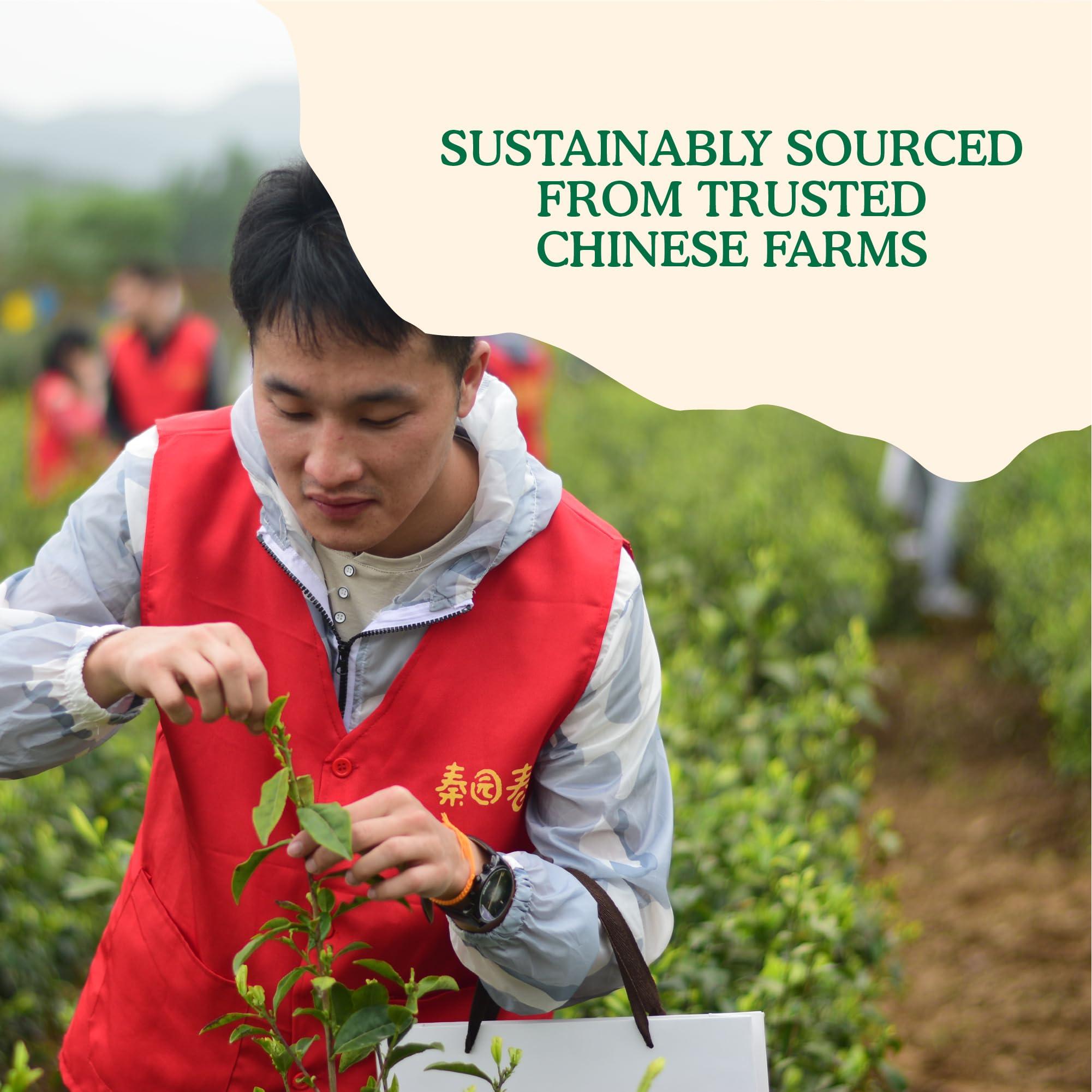 Yin & Yang Superfoods Japanese Organic Matcha Powder - 100g (33 Servings), by Yin & Yang Superfoods - Culinary Grade, Premium Quality, Natural Source of Energy, High in Antioxidants, Pesticide-Free, Vegan