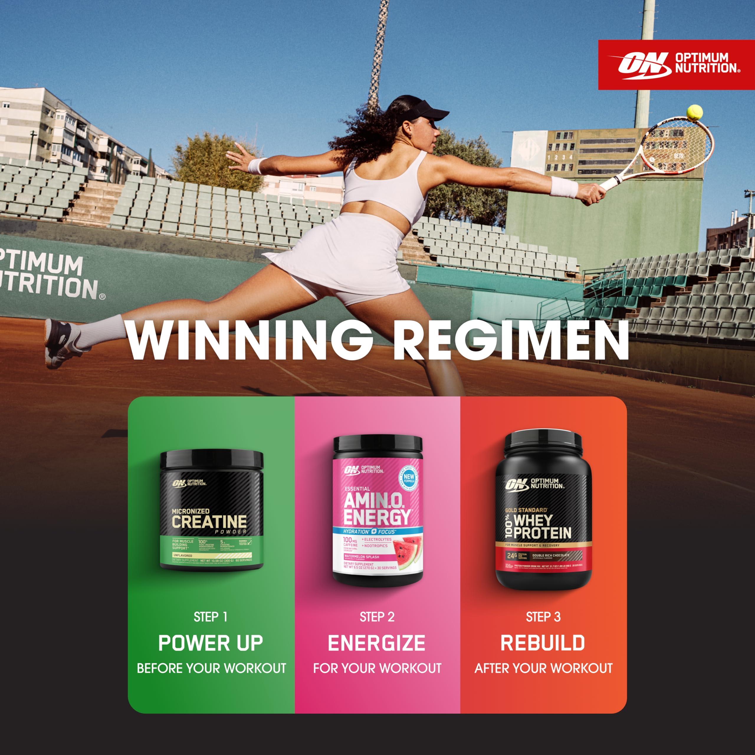 Optimum Nutrition Optimum Nutrition Micronized Creatine Powder 300 g