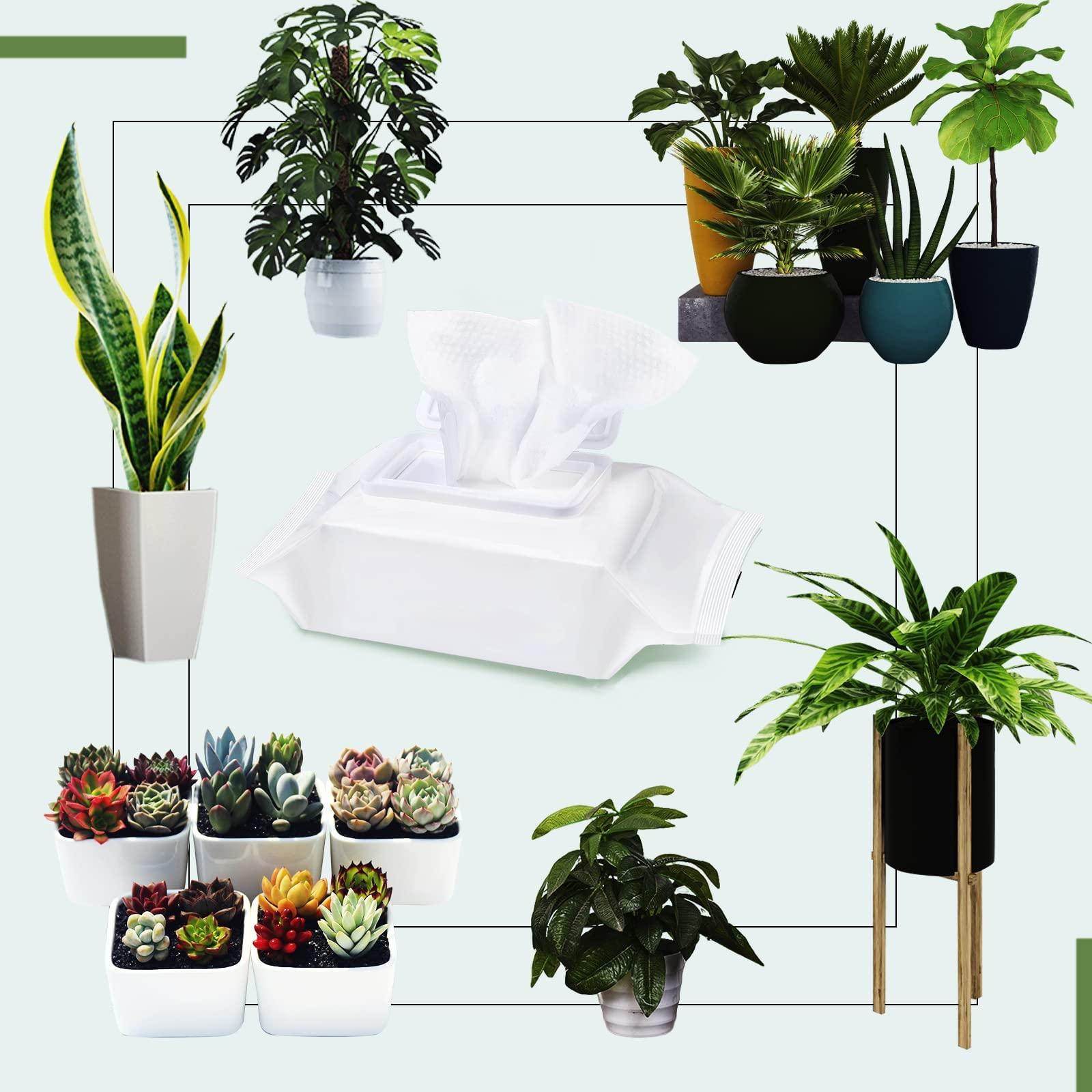 Leopong Leopong Plants Cleaning Wipes for Leaf Shine, Clean and Photosynthesis- Weave Unscented Wipes Perfect Plant Cleaner for Indoor Outdoor Plants | 80 Wipes