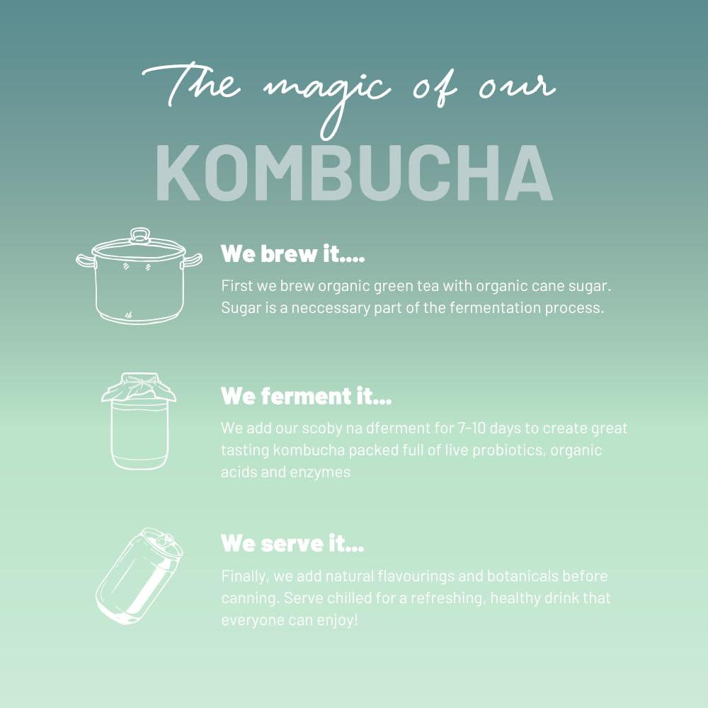 No 1 Living One Living Plus Immune Kombucha Drink - Ginger 24x 250ml Cans - Authentically Brewed Kombucha with Live Cultures - Added Reishi Mushroom and Vitamin D