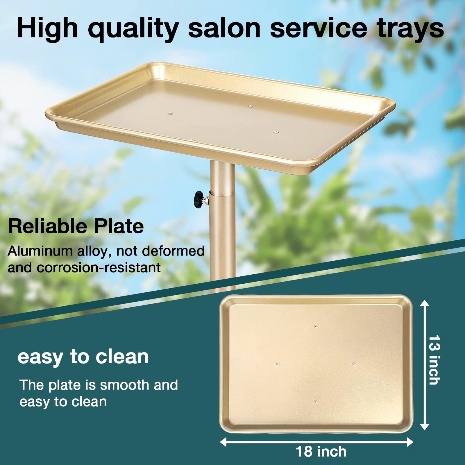 Findabetter Salon Tray, Champagne Gold Salon Tray, Salon Tray Cart with Adjustable Height, Salon Tray on Wheels, Ideal Use As Tattoo Tray&Deantal Tray, No-Rusting
