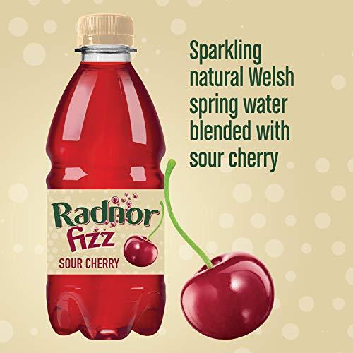 Radnor Hills Radnor Fizz Cherry NO ADDED SUGAR Juice Drink Multipack 24 x 330ml
