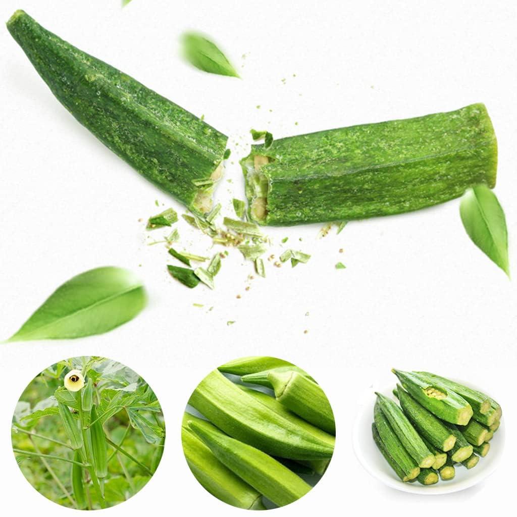 wasailuo Dried Okra Chips 1.76 oz/50g, Crispy Okra Chip Snack, Freeze-Dried Okra, Instant pickled okra, Ready-to-eat fruits and vegetables Snack, Healthy&Nutritious, Vegan, Fruit snack gift (Okra,Pack of 2)