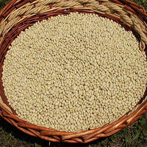 La Bona Usanza Solfino Bean Gr.500