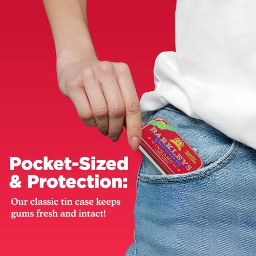 Barkleys Barkleys Sugar Free Chewing Gum with Cinnamon Gum 9 x 30 g