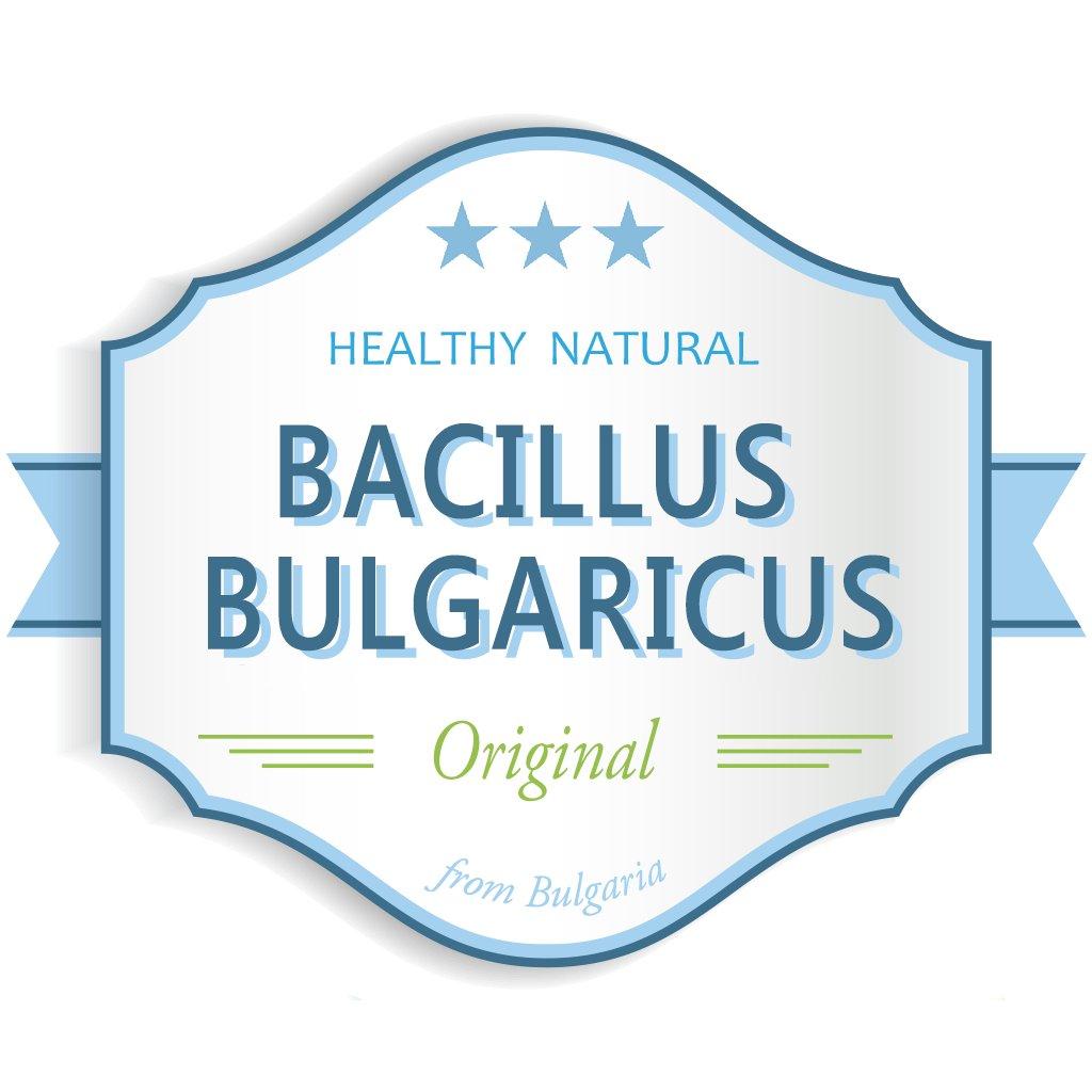 Bacillus Bulgaricus Bulgarian Yogurt Starter (Plus - 2 Gal / 8 L)