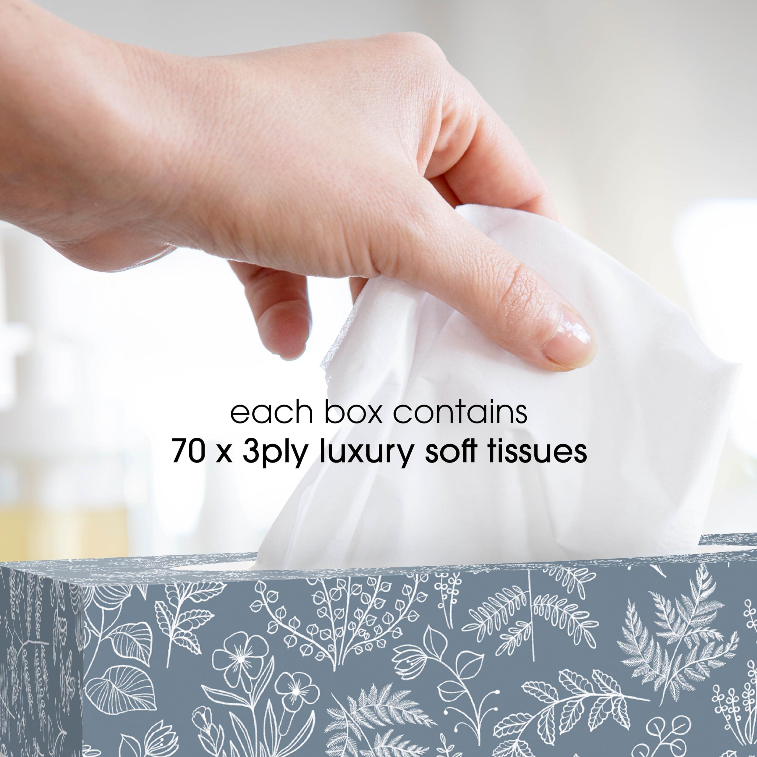 Softy Softy Luxury Soft Box Tissues - Extra Soft Facial Tissues Bulk Buy - 1680 3-Ply Tissues (24 x 70 Tissues)