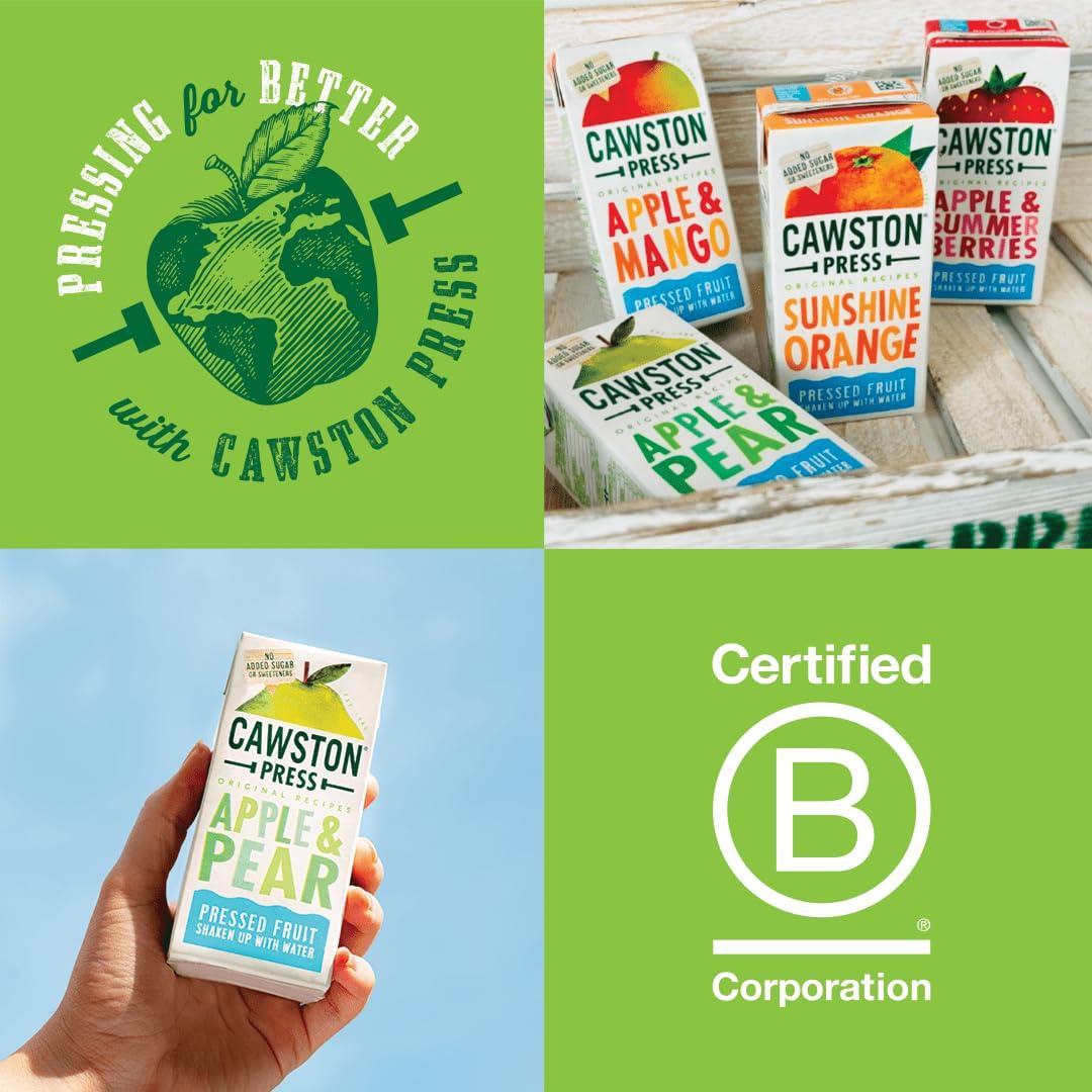 Cawston Press Cawston Press Fruit Water Kids Drink | Pressed Apple & Pear Flavoured Water | 200ml x 18 Pack Pear & Apple Juice Cartons | School Approved No Added Sugar Vegan | Ideal for Kids Lunchbox