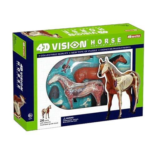 SORECI SORECI 4D Horse Anatomy Model - Animal Skeleton Specimen, Detachable Biology, 26 Parts for Pet Clinic Veterinary TrainingSchool Teaching Demonstration