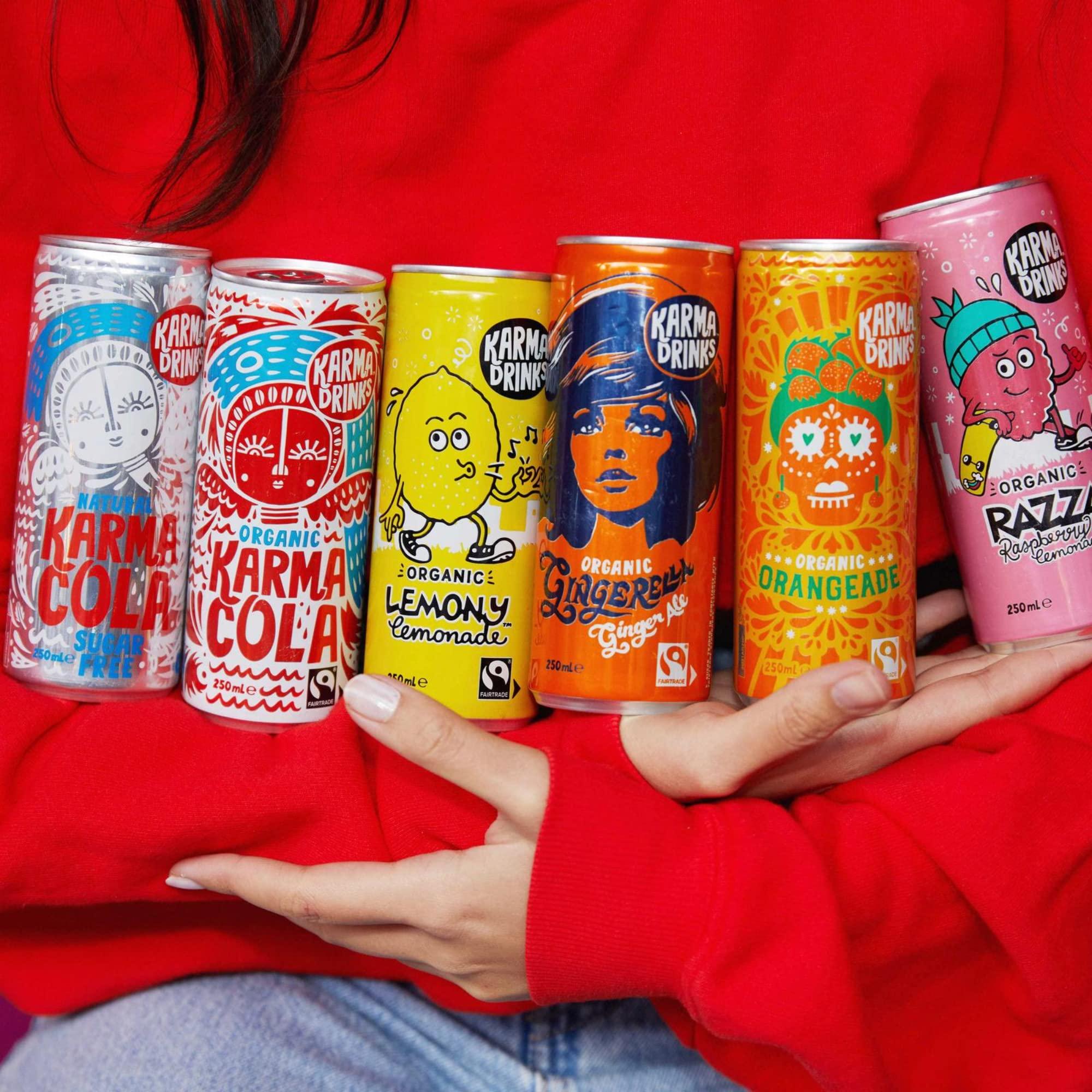 KARMA DRINKS Karma Drinks Can Variety Pack, Mixed Case of Delicious Soft Drinks, Carbonated Fizzy, Fairtrade, Organic, Vegan, No GMO (12 x 250ml)