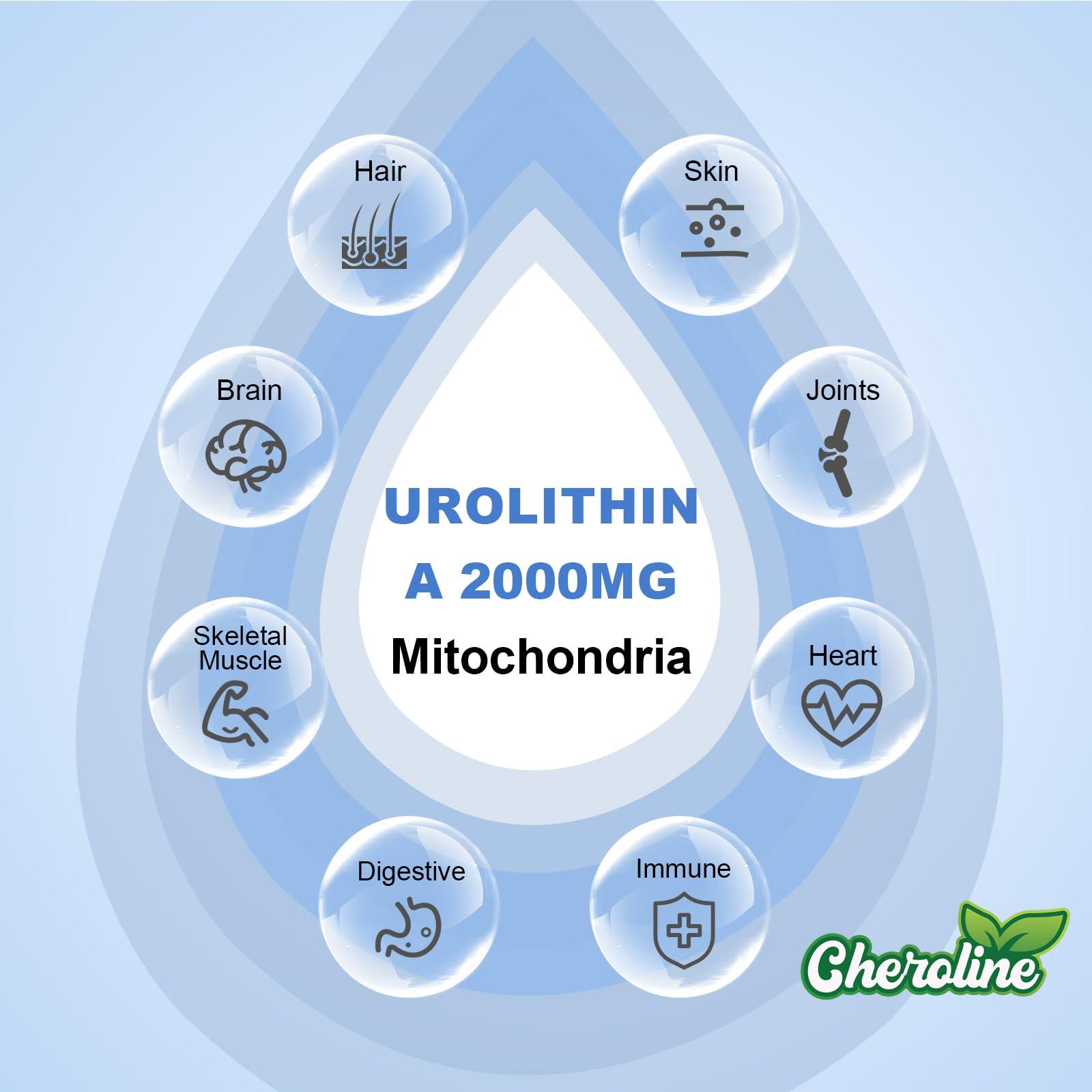 Cheroline Urolithin A Supplement 2000mg - 120 Softgels 60-Day Supply - Enhanced with Pomegranate, Strawberry, and Walnut Extracts - for Mitochondria, Energy, Antioxidants & Cellular (480 Count (Pack of 4))