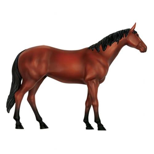 SORECI SORECI 4D Horse Anatomy Model - Animal Skeleton Specimen, Detachable Biology, 26 Parts for Pet Clinic Veterinary TrainingSchool Teaching Demonstration