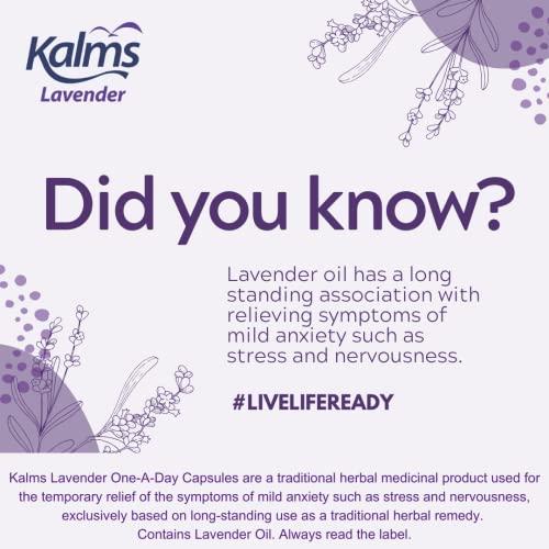 Kalms Kalms Lavender - One-a-Day - 14 Capsules - A Traditional Herbal Medicinal Product Used for The Temporary Relief of The Symptoms of Mild Anxiety Such as Stress and Nervousness (Pack of 2)