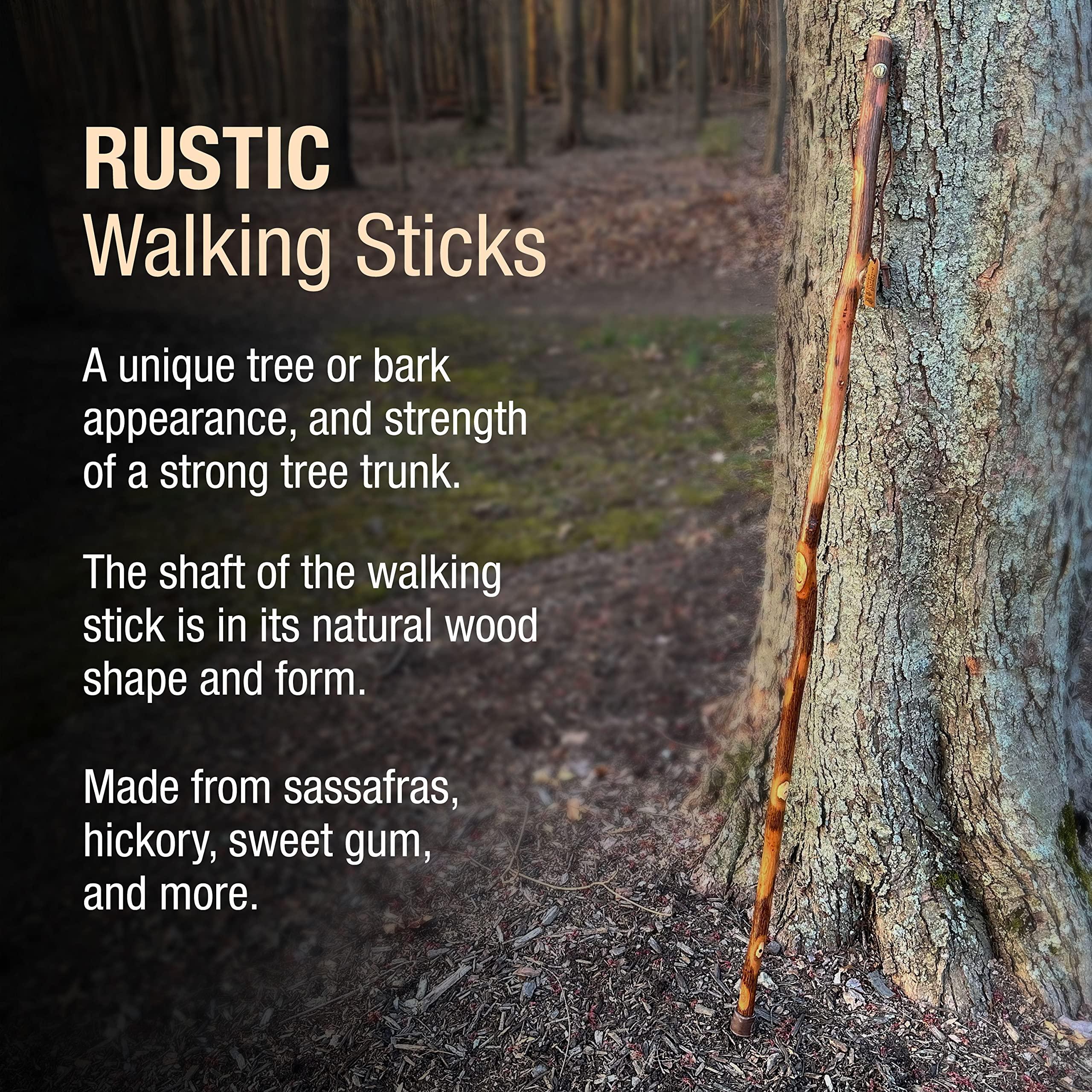 Brazos Brazos Walking Sticks Free Form Hickory Handcrafted Wood Trekking Pole, Made in USA, 58-Inch