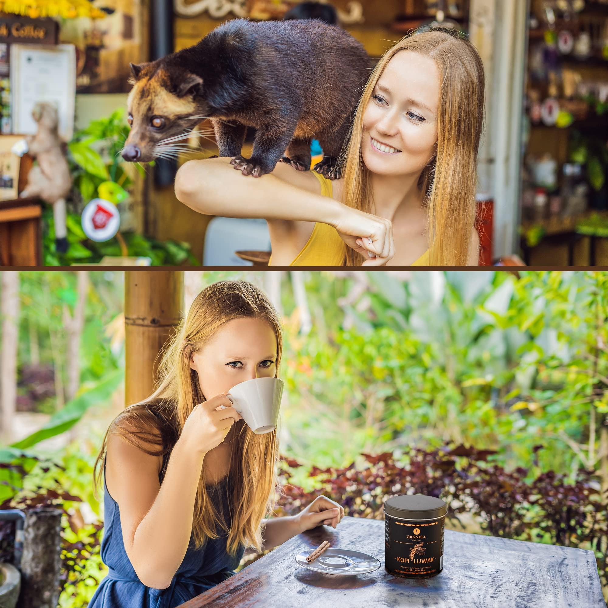 Granell Cafs  1940 Cafs Granell Wild Kopi Luwak Coffee Whole Beans, 100grams (3.5oz)