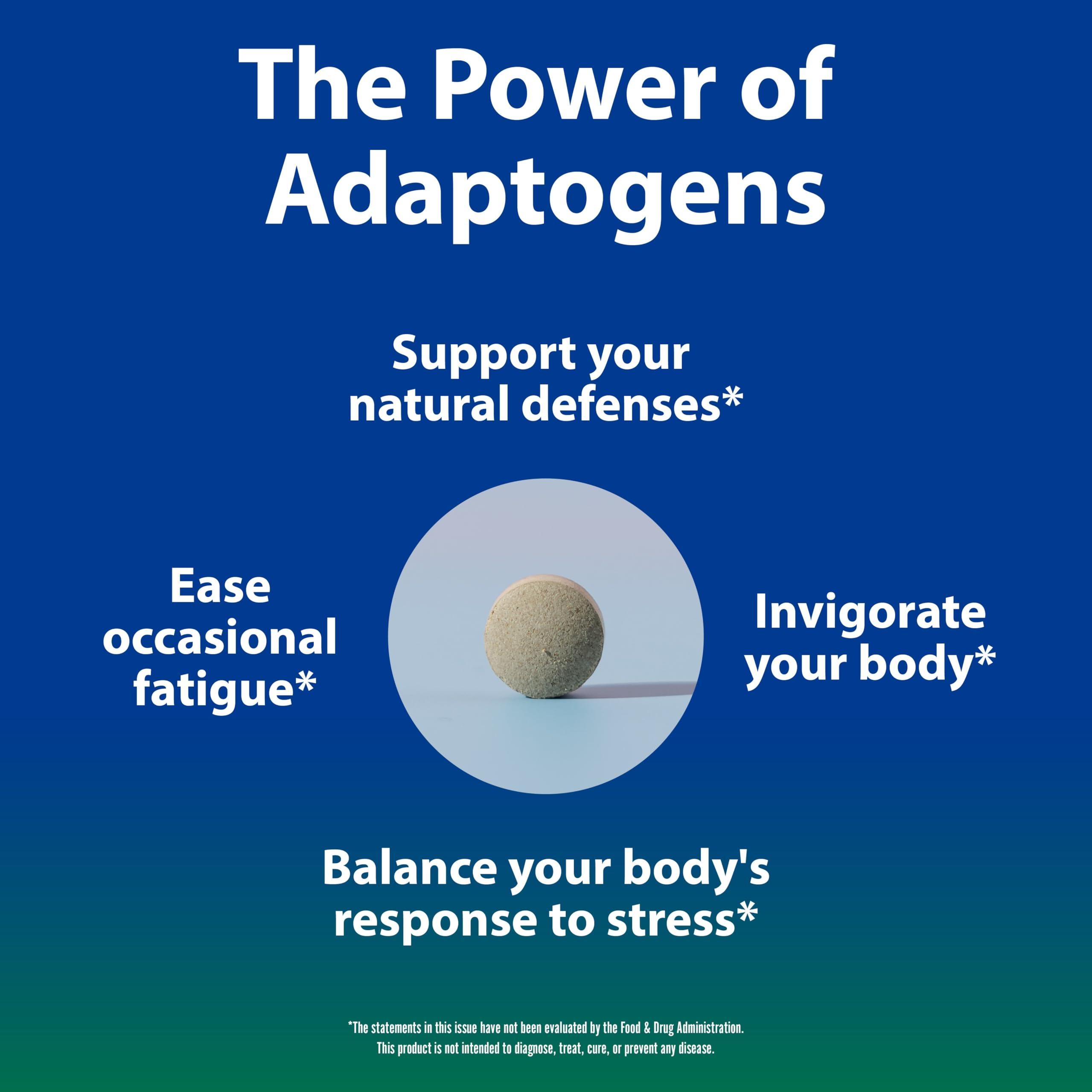 Sun Chlorella Sun Chlorella Sun Eleuthero Tablets, 200 mg, Pack of 240 Tablets