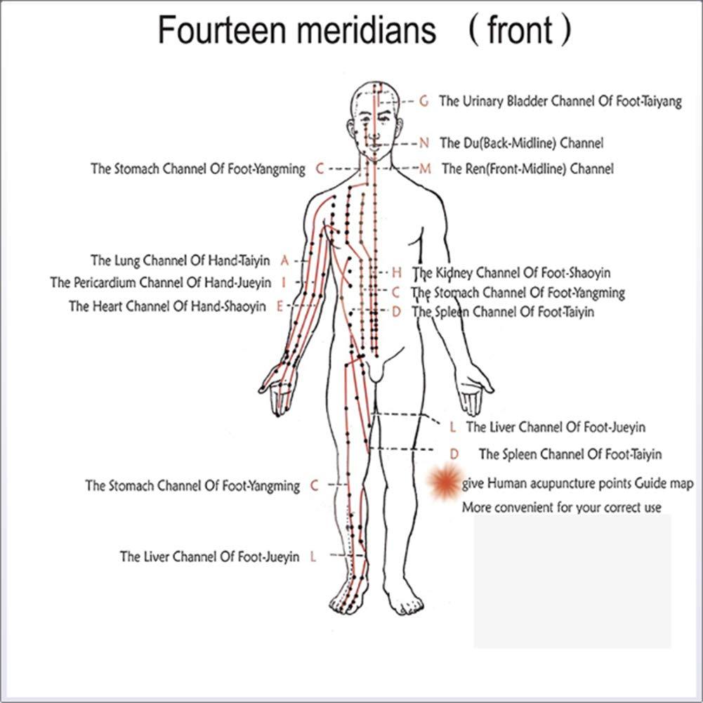 SETSCZY SETSCZY Professional 6 Channels TENS EMS Machine Muscle Stimulator Acupuncture Meridian Therapy Equipment Body Massager Full Body Relax Muscle Electrostimulator Physiotherapy Machine Professional