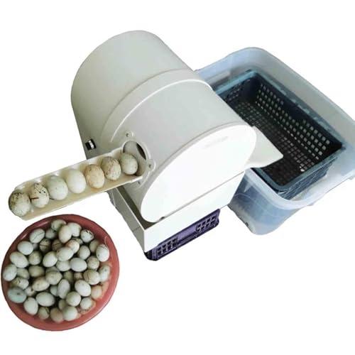forplubossmmp Auto Household Egg Cleaner Wash Machine | Brush Roller Egg Washing Machine | Egg Brushing Machine for Commercial 2300 Eggs/hour | For Cleaning Chicken Duck Goose Eggs 180W