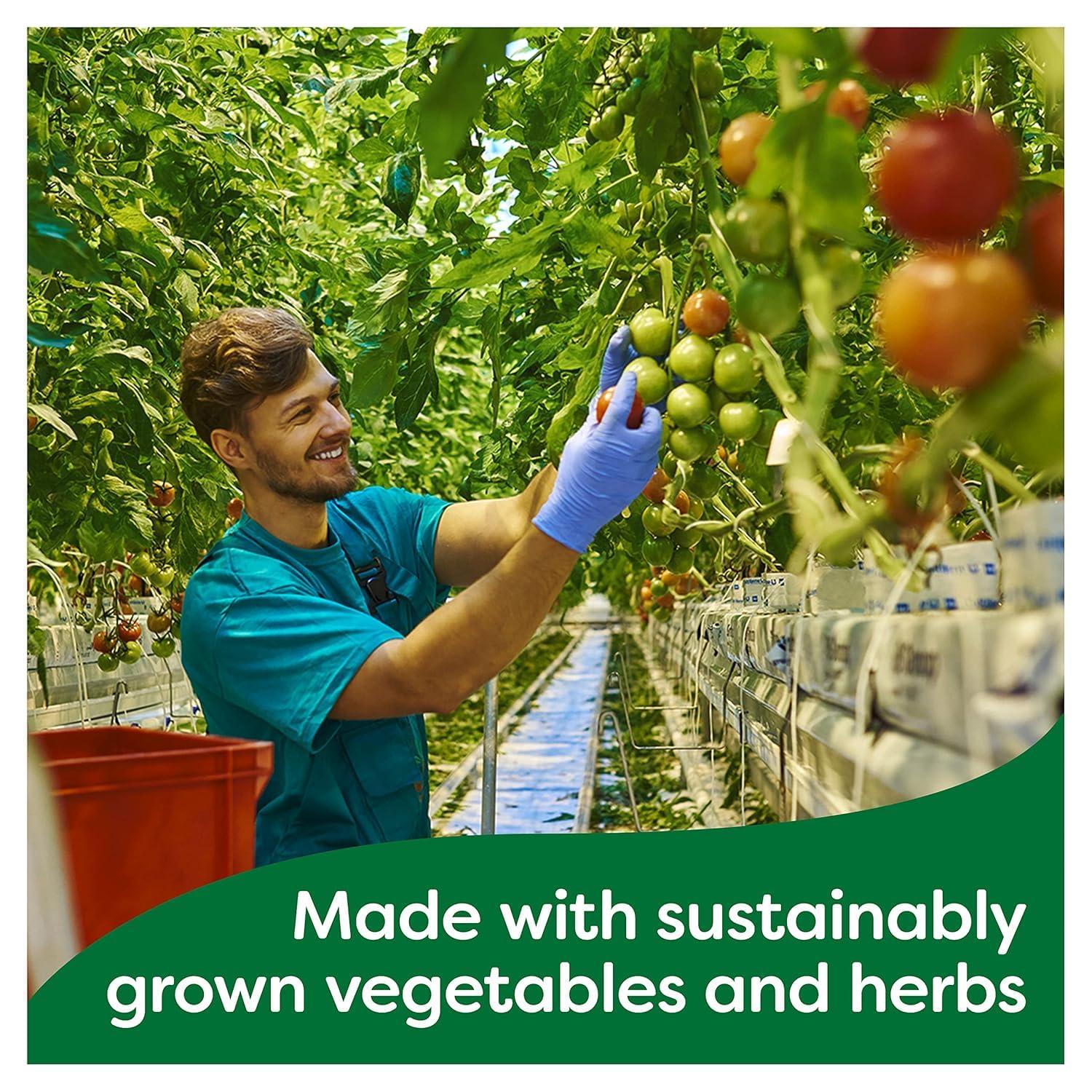 Knorr Knorr Chicken Stock Gel Pot, 224g