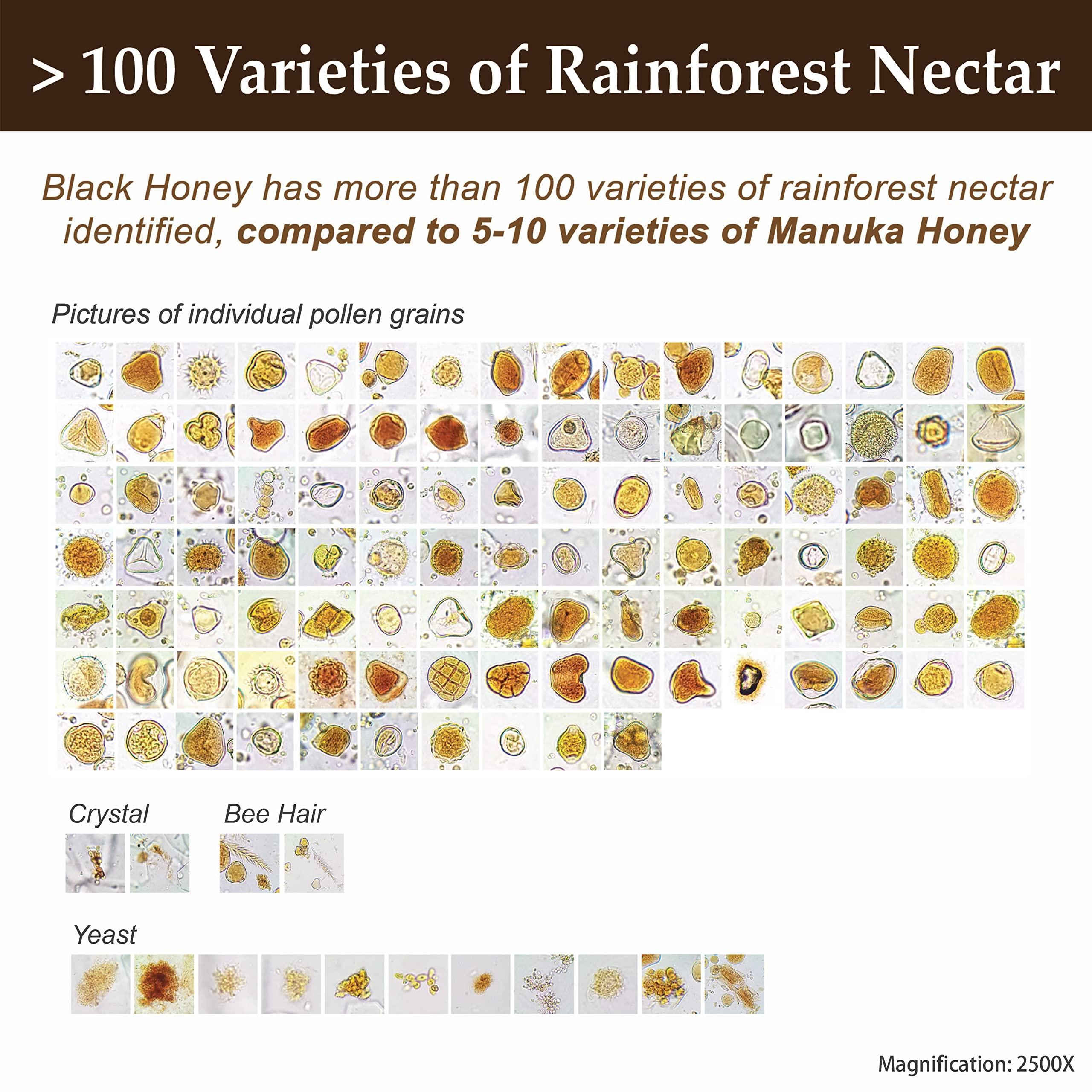 Health Harvest Tualang Black Honey 50g (TA 11.5+, Pollen Count 4.0M+, Pollen Variety 100+) Intense Choice for Women Preservation, Wild-ripening on 250ft Treetop, Raw, Unpasteurised, Unfiltered