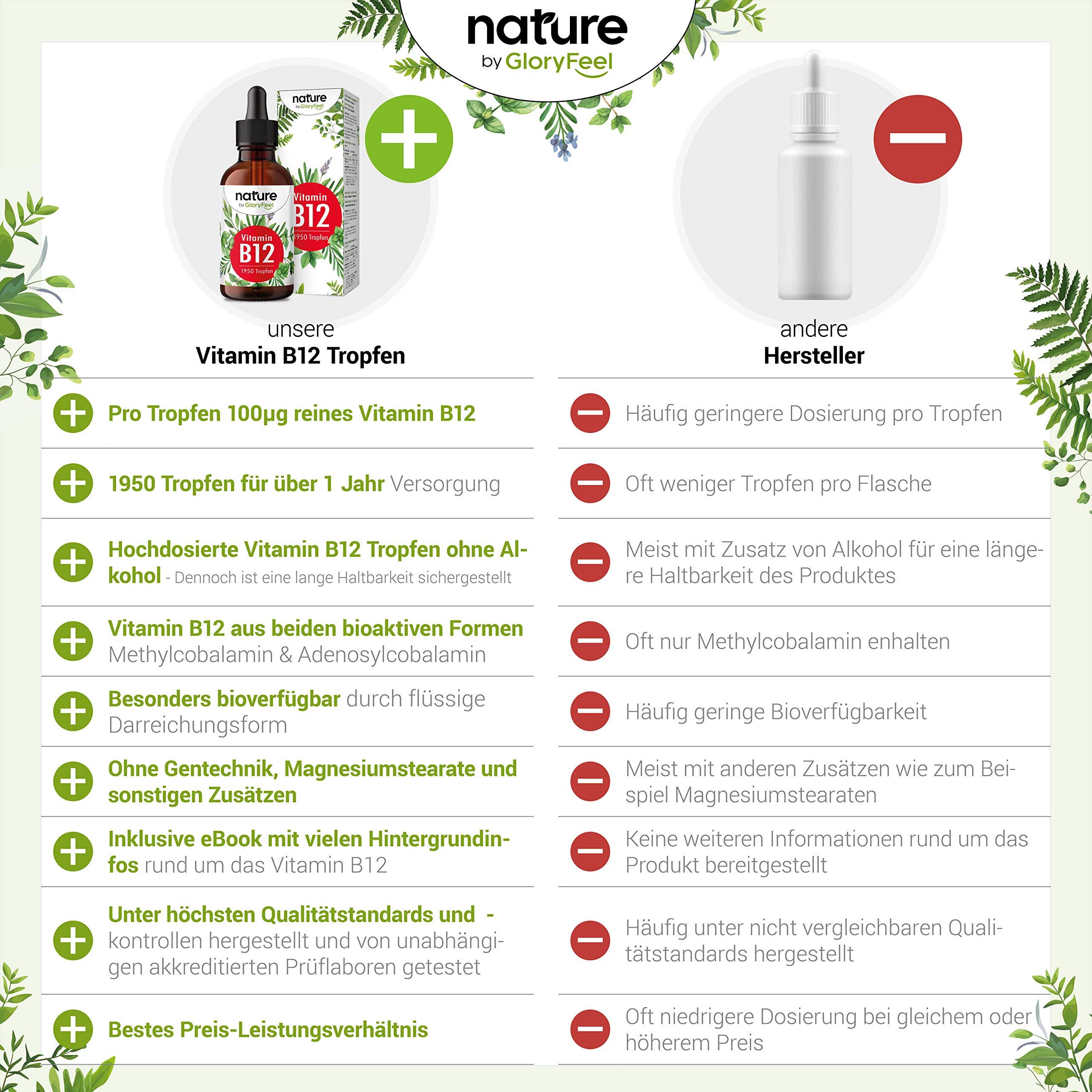 Gloryfeel Liquid Vitamin B12 Vegan Methylcobalamin Plus Adenosylcobalamin (50 ml) 1.000 g (High Strength) Vegan Energy & Sleep Sublingual Drops