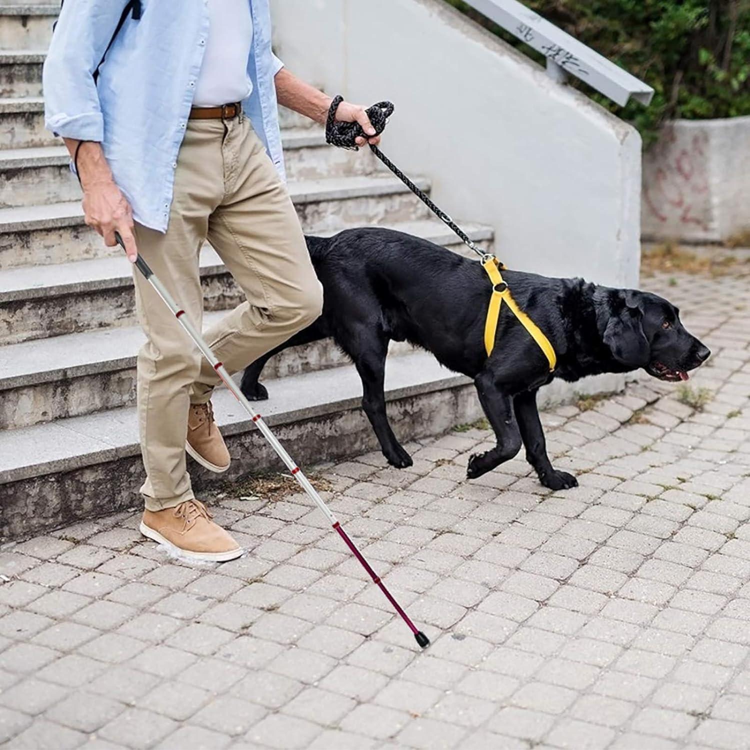 SEIBES Folding Blind Cane, 8 Sections Titanium Alloy Blind Cane Telescopic Outdoor Walking Stick with Reflective Walk Cane for the Blind and Vision Impaired(139.5cm/55in)