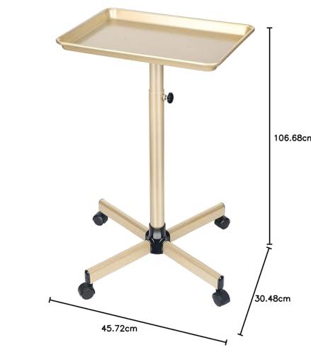 Findabetter Salon Tray, Champagne Gold Salon Tray, Salon Tray Cart with Adjustable Height, Salon Tray on Wheels, Ideal Use As Tattoo Tray&Deantal Tray, No-Rusting