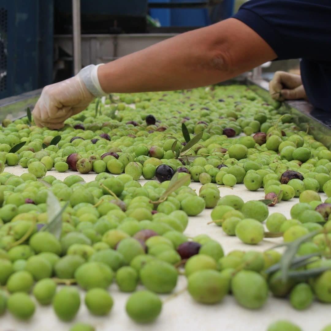 LA ESPAOLA LA ESPAOLA - Extra Virgin Olive Oil Made from 100% Spanish Olives. 5 l Bottle