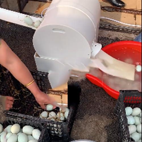 forplubossmmp Auto Household Egg Cleaner Wash Machine | Brush Roller Egg Washing Machine | Egg Brushing Machine for Commercial 2300 Eggs/hour | For Cleaning Chicken Duck Goose Eggs 180W