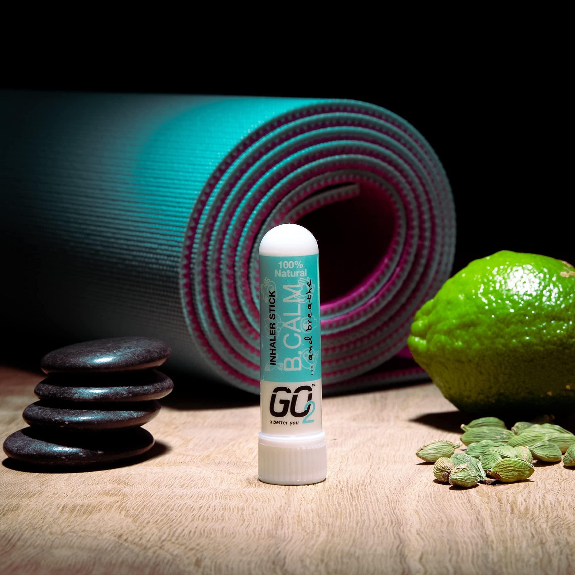 GO2 GO2 Inhaler B. Calm Stick Essential Oils for Convenient On-The-Go Use 100% Natural, Synthetic-Free, and Cruelty-Free (1ml Tube)