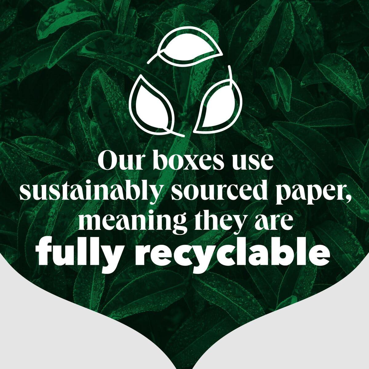 PG Tips PG Tips Decaf | Black Tea Bags Bulk | Indulgent, Velvety & Rich Black Tea | Perfect Flavour Release | Decaffeinated | 6 Packs | 420 Plant Based Biodegradable Decaf Tea Bags