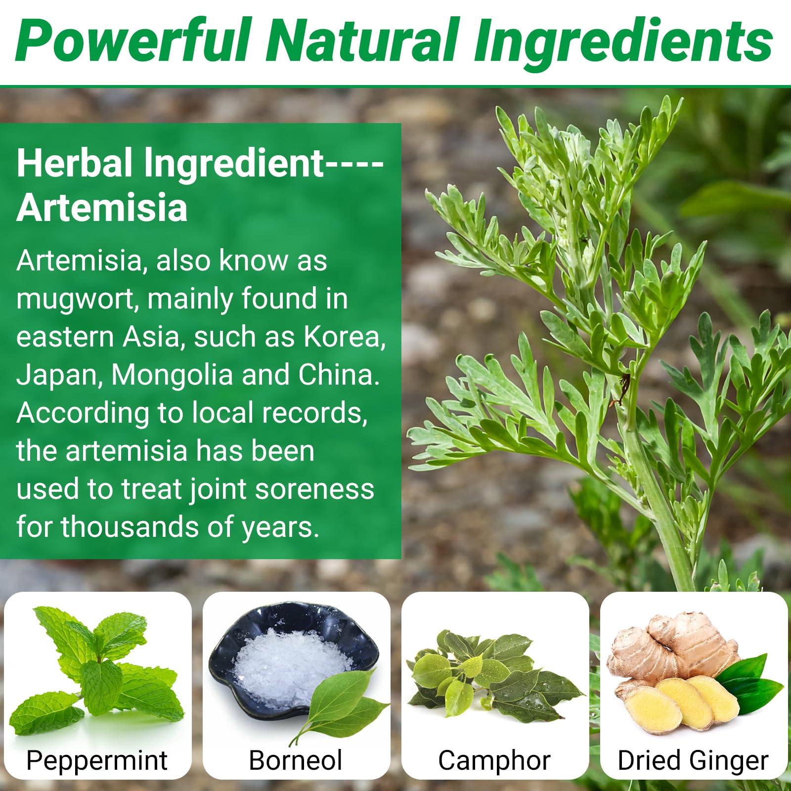 ishancare iShanCare Shoulder Pain Relief Patches, 24Pcs Natural Warming Herbal Plaster Heat Patches, 8 Hours Deep Heating Extra Strength Joint Pain Relieving Patch for Shoulders, Knee, Back, Neck