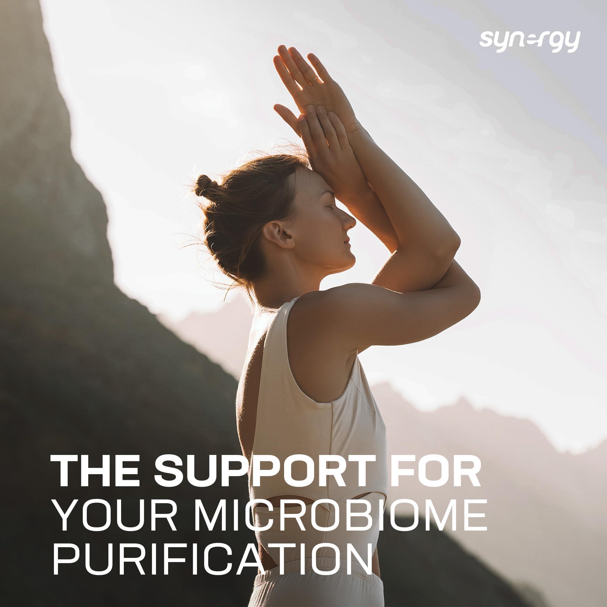 Synergy Worldwide Synergy Worldwide BiomeDT 30 doses | Digestive Health and Microbiome Supplement | Supports Digestive Health & Immune Function | Psyllium, Inulin, L-Glutamine, Zinc | Gluten-Free, Vegetarian | 396g