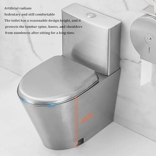 RIYIFANRONG111 Commercial Dual Flush toilet Modern 304 Stainless Steel High-efficiency Water-saving Toilet Urinal,Household Bathroom Small-sized Toilet Adult Urinal, for Bars Shopping Malls Public Places