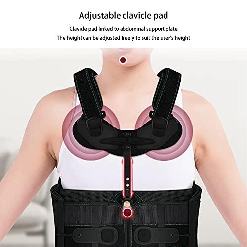 WILLQ Thoracolumbar Fixed Brace Cervical Thoracic Orthosis Chest Lumbar Brace for Back Pain Relief Injury Recovery Adjustable Thoracolumbar Fixed Orthosis Men Women Lumbar Spine Orthosis,S