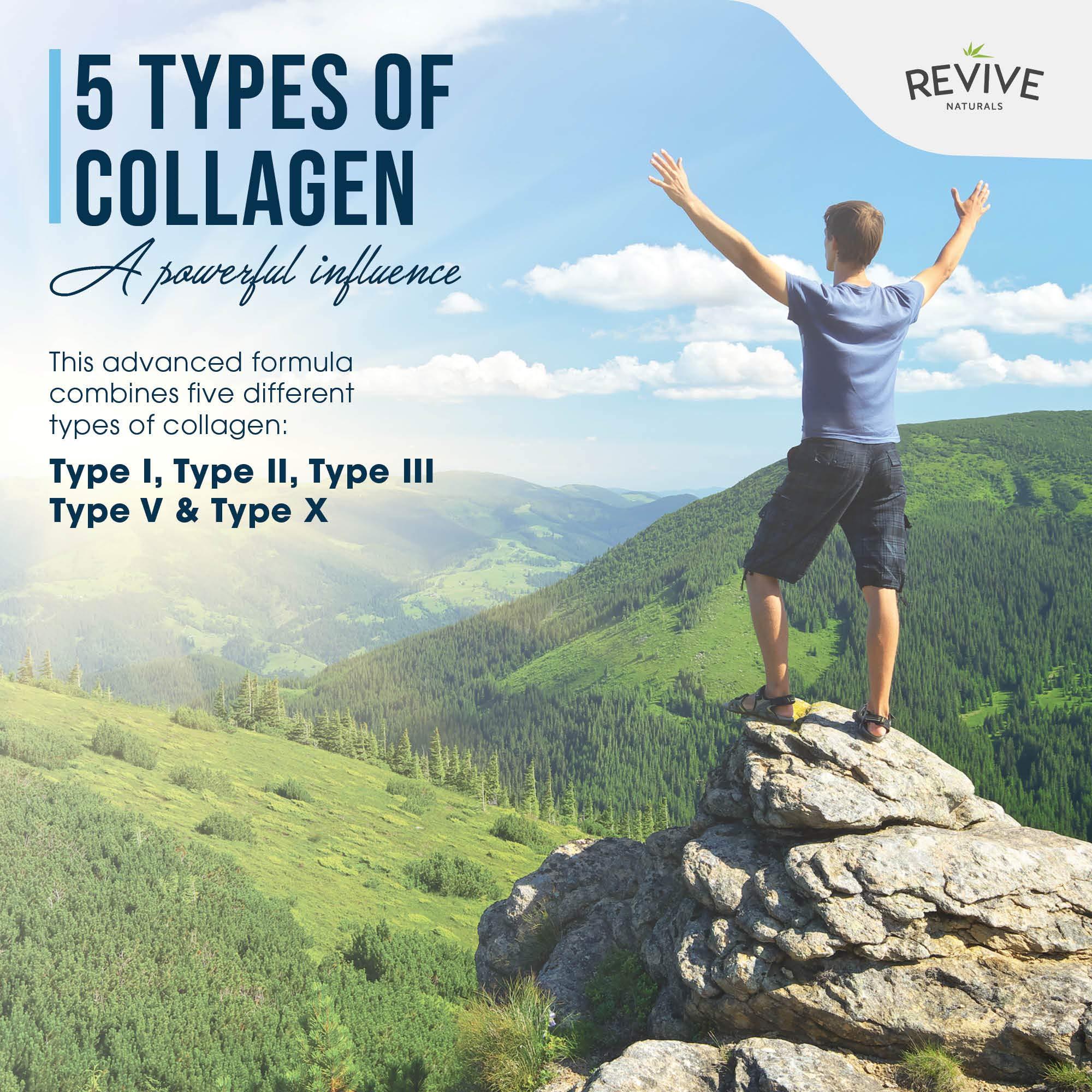 Revive Naturals Multi Collagen Protein Powder Packets - Types I, II, III, V & X - Hydrolyzed Grass Fed Bovine, Wild Caught Fish, & Free-Range Chicken & Eggshell Collagen. Non-GMO, Halal, (10g Each, 40 Packets)