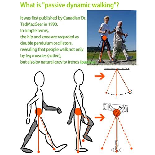 LIJBN Walking Aid Bionic Body Power Walking Aids, Stroke Rehabilitation for Leg Single Walker Assisted Walking Hemiplegia Training Exercise Boosting Leg Lift Climbing Aid Equipme