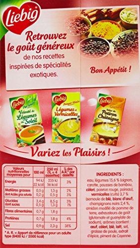 LIEBIG LIEBIG liebig Soup Chinese Brick 1 l