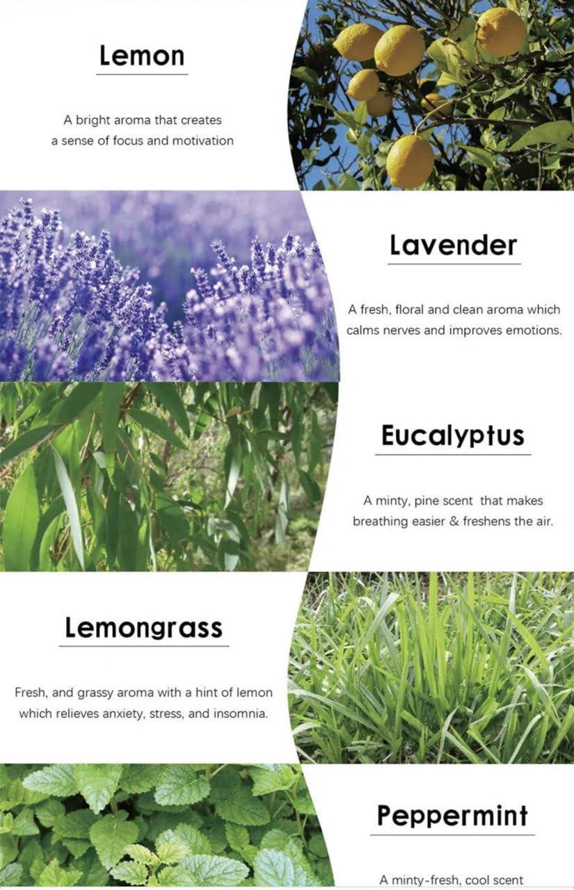 FreshCart Basics Essential Oil Sets for Aromatherapy diffusers, Humidifiers, stove and Aromatherapy Lamp