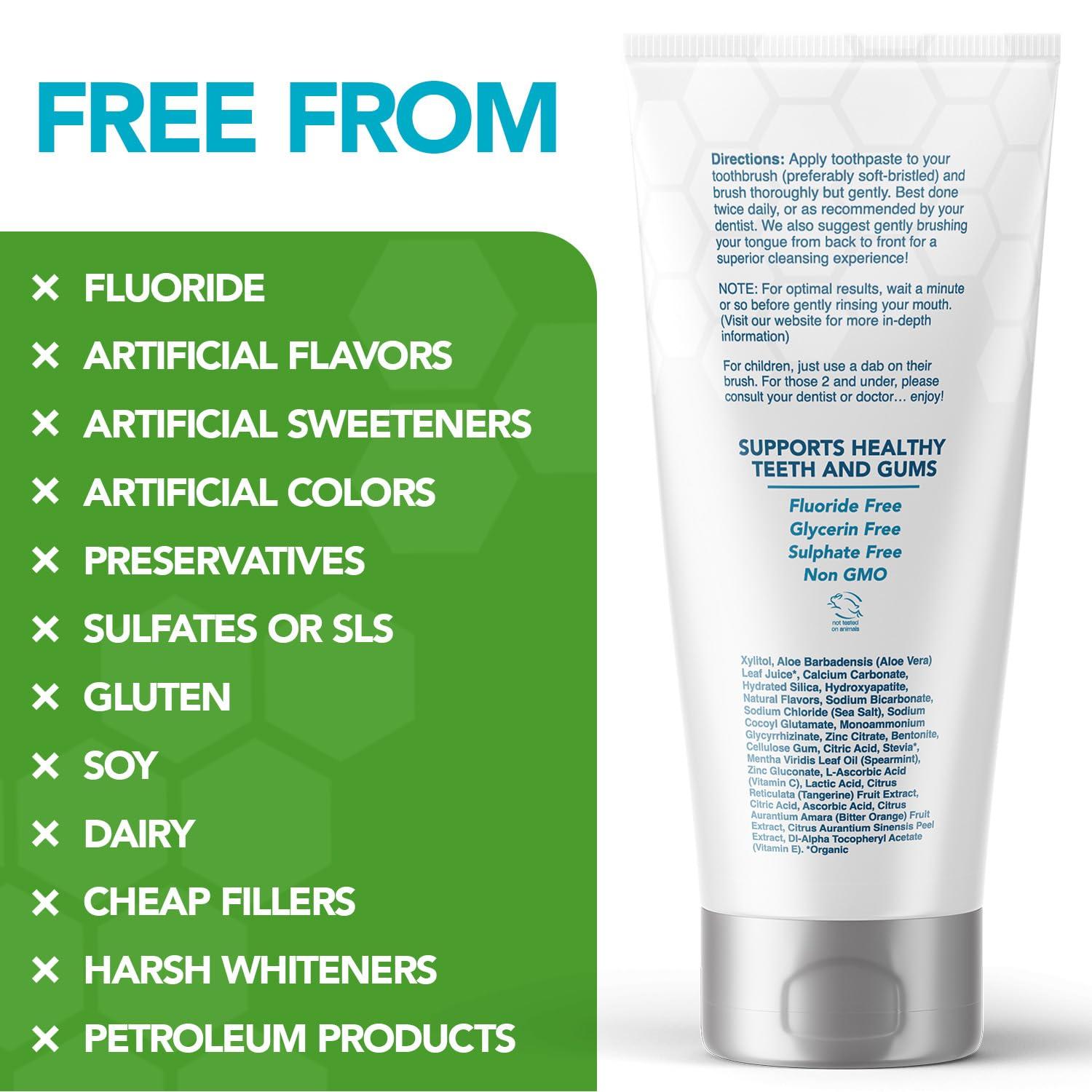 Great Oral Health Pro-Mineralizer Toothpaste Peppermint - Nano Hydroxyapatite & Enamel Support Toothpaste w/Xylitol Aloe Vera & Sea Salt - Anti Cavity Fluoride Free NanoHydroxyapatite Toothpaste - Dentist Formulated